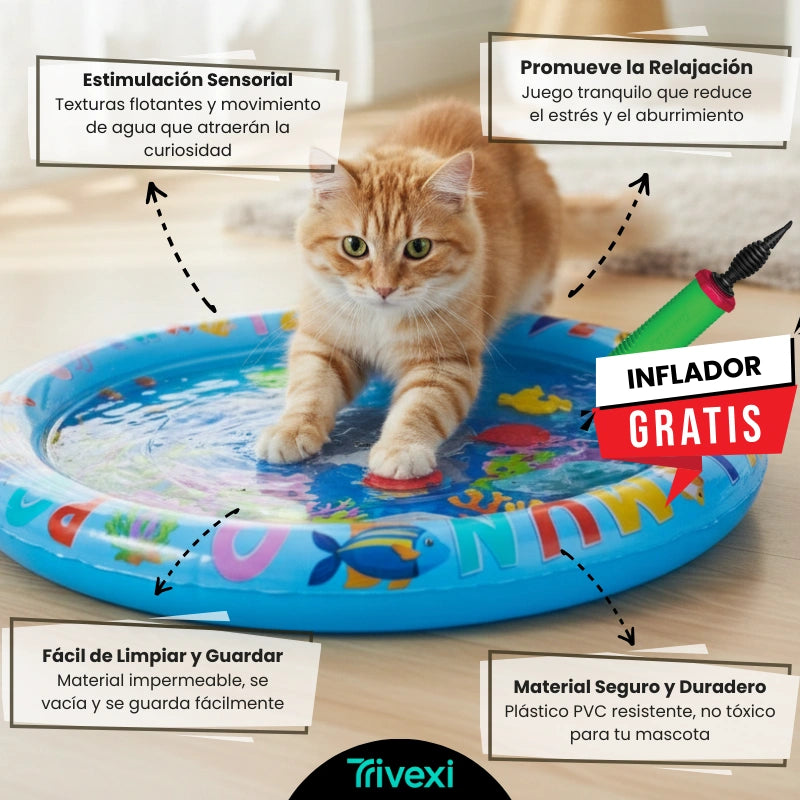 AquaPaws™ Sensorial: El Océano en Casa