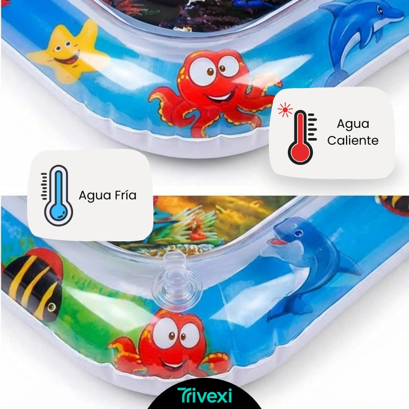 AquaMind™ Pro: El Gimnasio Sensorial 2-en-1